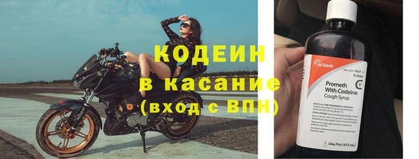 индика Алзамай