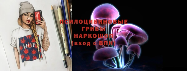 индика Алзамай