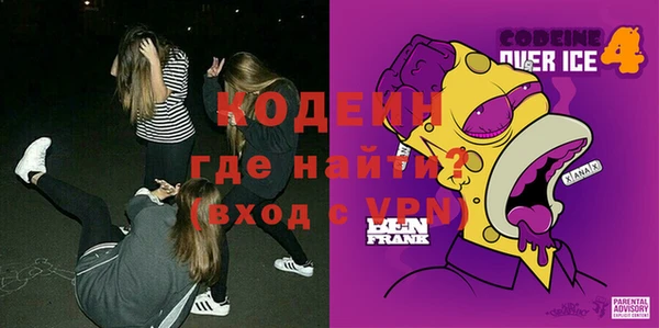 индика Алзамай